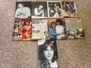 David Cassidy teen magazine pinup clippings lot pix Bop Bravo Tiger Beat Rare
