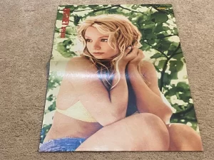 Britney Spears teen magazine poster clipping Bop Teen Beat Bravo tree sexy pose
