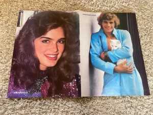 Christopher Atkins John Stmoas Brooke Shields teen magazine poster clipping RARE