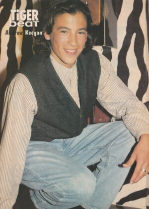Andrew Keegan teen magazine pinup clipping squatting grey vest jeans Tiger Beat