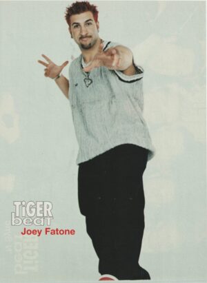 Joey Fatone Nsync teen magazine clipping pinup clipping Tiger Beat hands pix