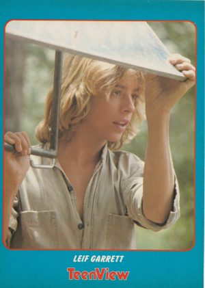Leif Garrett teen magazine pinup clipping Teen View playing teen idols 1970’s