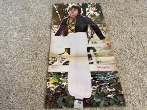 Bay City Rollers teen magazine poster white fence Woody Derek 16 mag trees