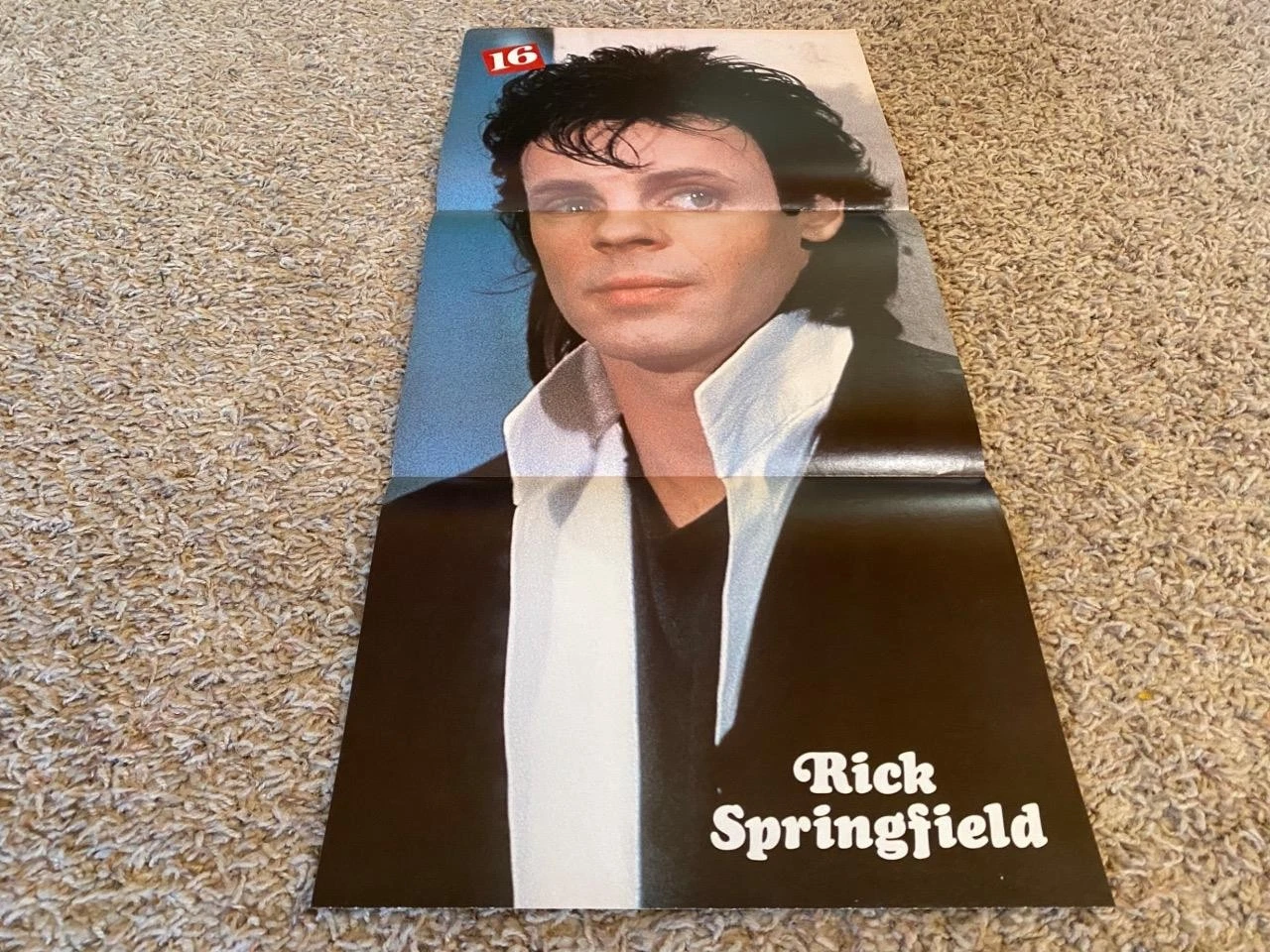 Rick Springfield Michael J. Fox teen poster clipping full body 16 magazine PIX