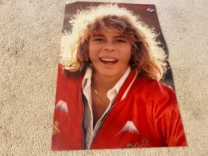 Leif Garrett teen magazine poster clipping red jacket Bravo headshot Young Pix