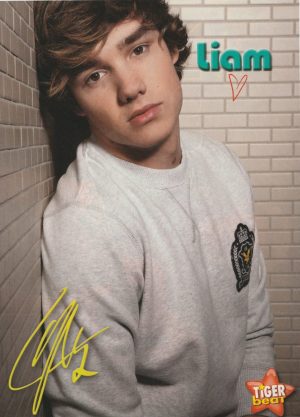 Cody Simpson Liam Payne One Direction teen magazine pinup clipping white tile Tiger Beat Pix