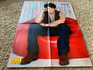 Jonas Brothers Nick Jonas teen magazine poster clipping red bean bag Tiger Beat