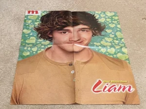 One Direction Louis Tomlinson Liam Payne teen magazine poster clipping Rip Pix