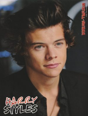 One Direction Harry Styles teen magazine pinup clipping M pix celebrity Japan