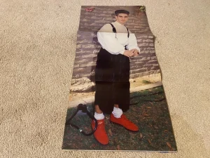 Damon Pampolina Mark Paul Gosselaar teen magazine poster The Party brick Guys