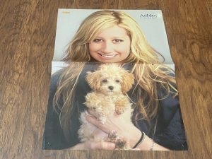 Ashley Tisdale teen poster clipping vintage headhot puppy Popcorn HSM Pix