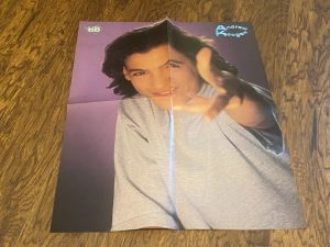 Andrew Keegan Claire Danes teen poster clipping vintage hands teen idols pix fan