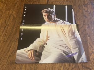 Hanson Joey Fatone Nsync teen poster clipping vintage pop music Teen Beat Pix