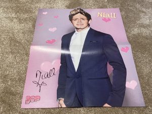 Share One Direction Niall Horan Catching Fire magazine Poster Collectible pop star pix
