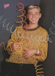 Ricky Schroder Charlie Sheen teen magazine pinup clipping Silver Spoons Bop Pix