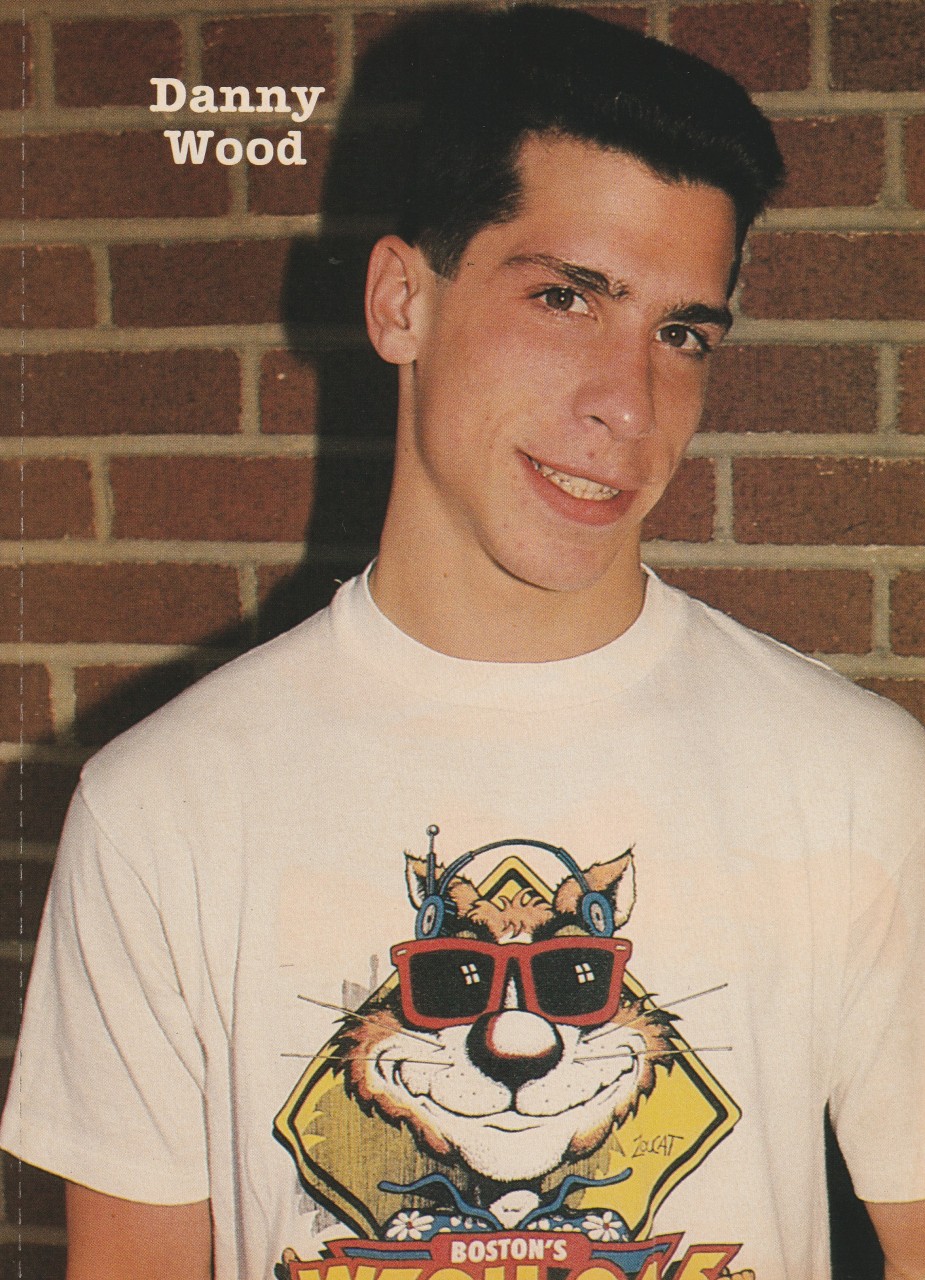 Josh Williams Danny Wood teen magazine pinup clipping Vintage Teen Machine pix - Image 2