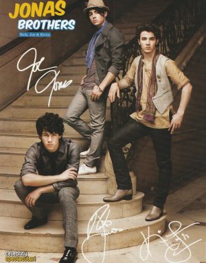 Jonas Brothers teen magazine pinup clipping cutting steps hat celebrity Pix