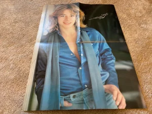 Leif Garrett teen magazine poster clippings cutting fold out blue shirt 4 page