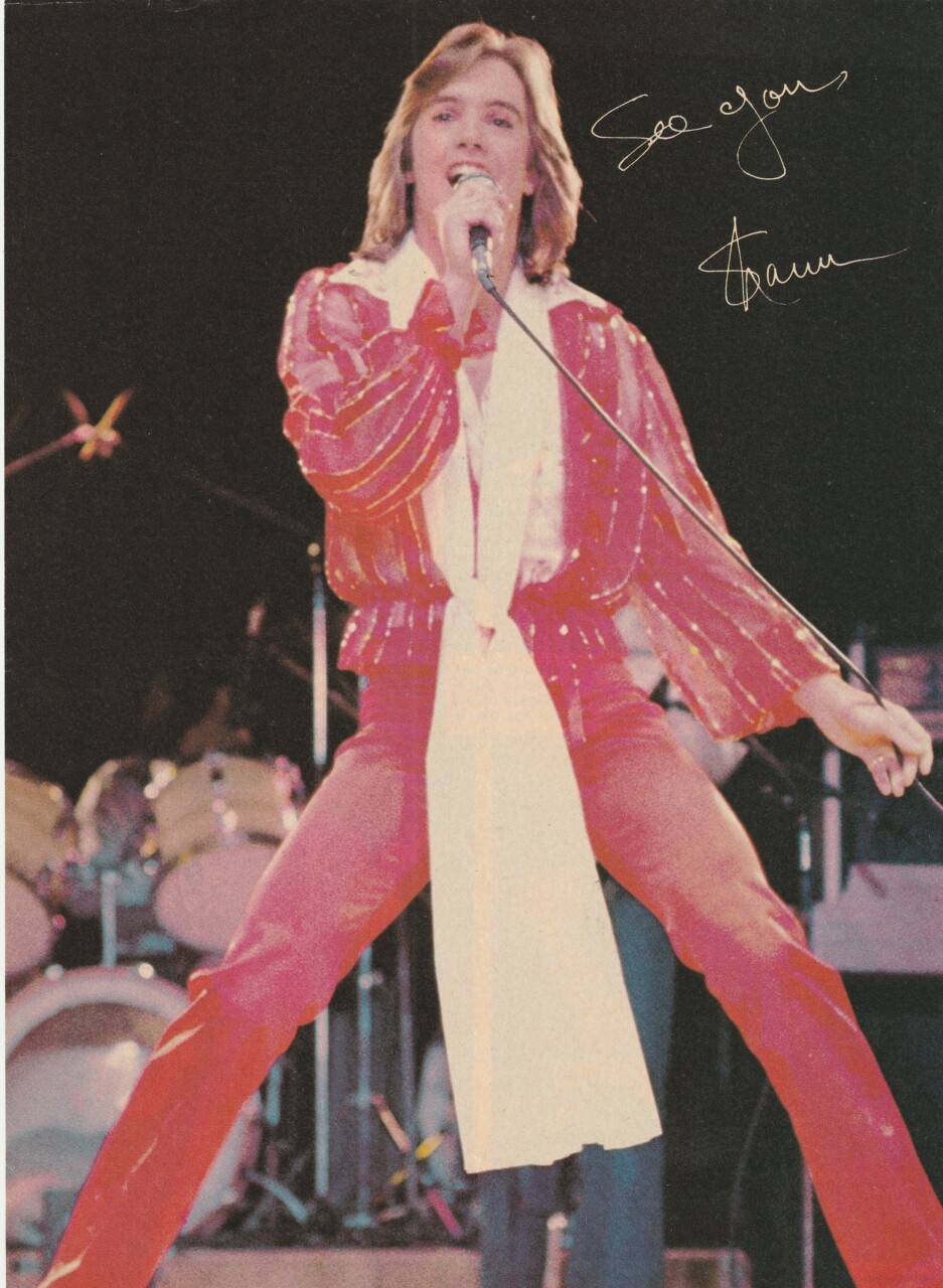 Shaun Cassidy teen magazine pinup clipping full body 70's teen sensation star