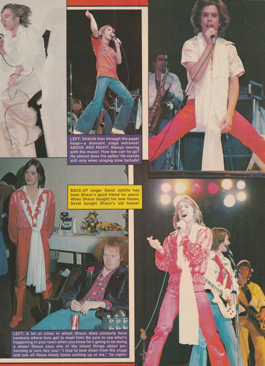 Shaun Cassidy teen magazine pinup clipping full body 70's teen sensation star - Image 2