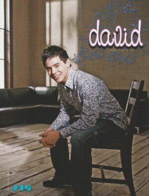 David Archuleta Chris Brown teen magazine pinup clipping black chair J-14 singer