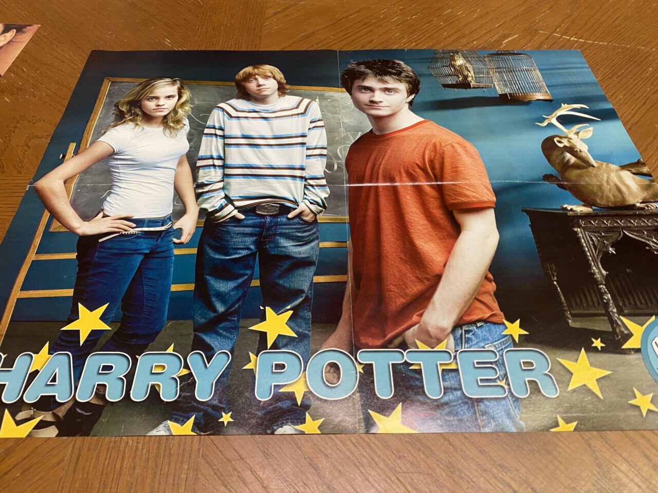 Harry Pottter kids young Daniel Radcliffe