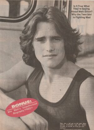 Matt Dillon teen magazine pinup clipping Teen Machine 80's muscles Outsiders Pix