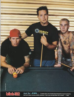 Blink 182 Usher teen magazine pinup clipping pool J-14 muscles shirtless Pix