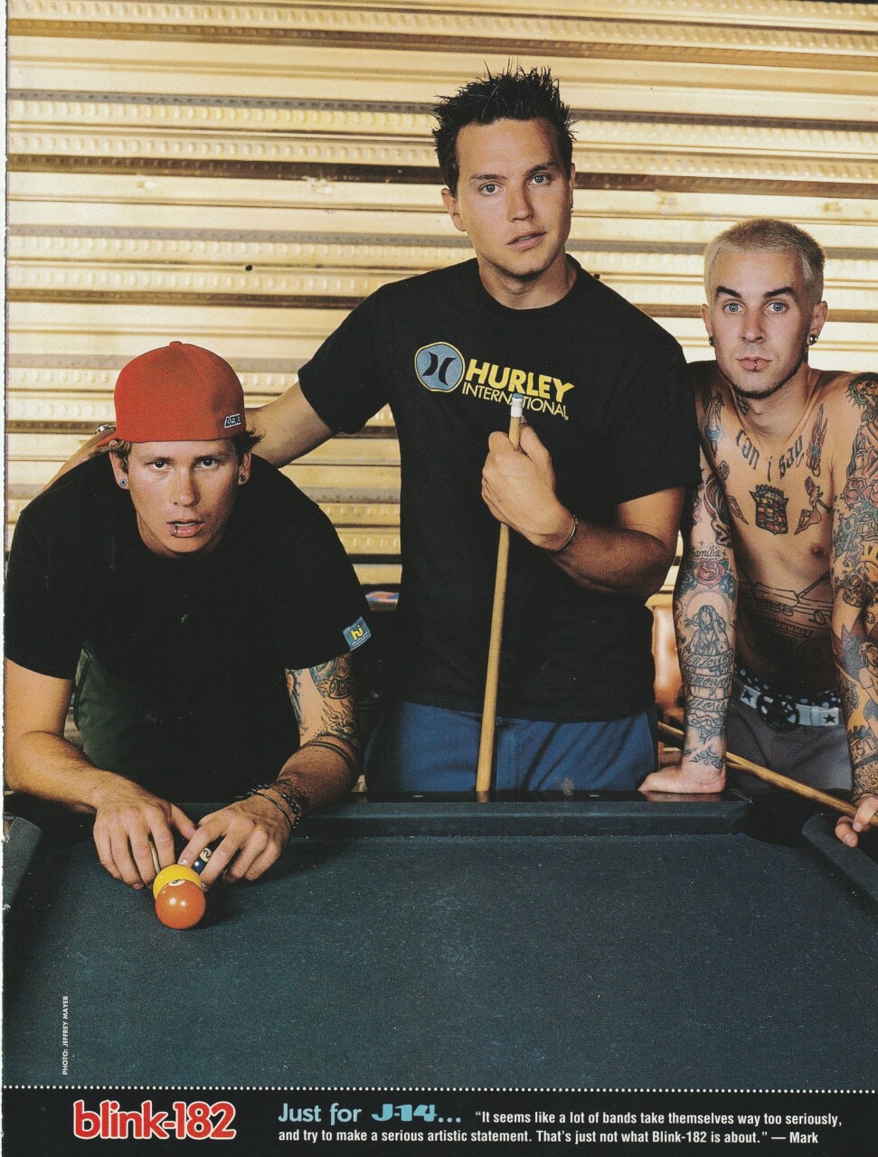 Blink 182 Usher teen magazine pinup clipping pool J-14 muscles shirtless Pix