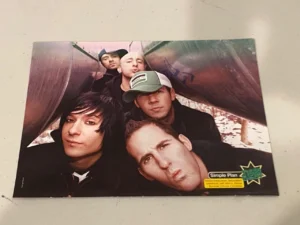 Simple Plan Adam Brody Plan teen magazine pinup rock band The OC outside Pix