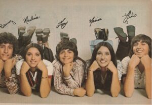 Tony Defanco teen magazine pinup clipping Defranco family Teen Beat Tiger Beat