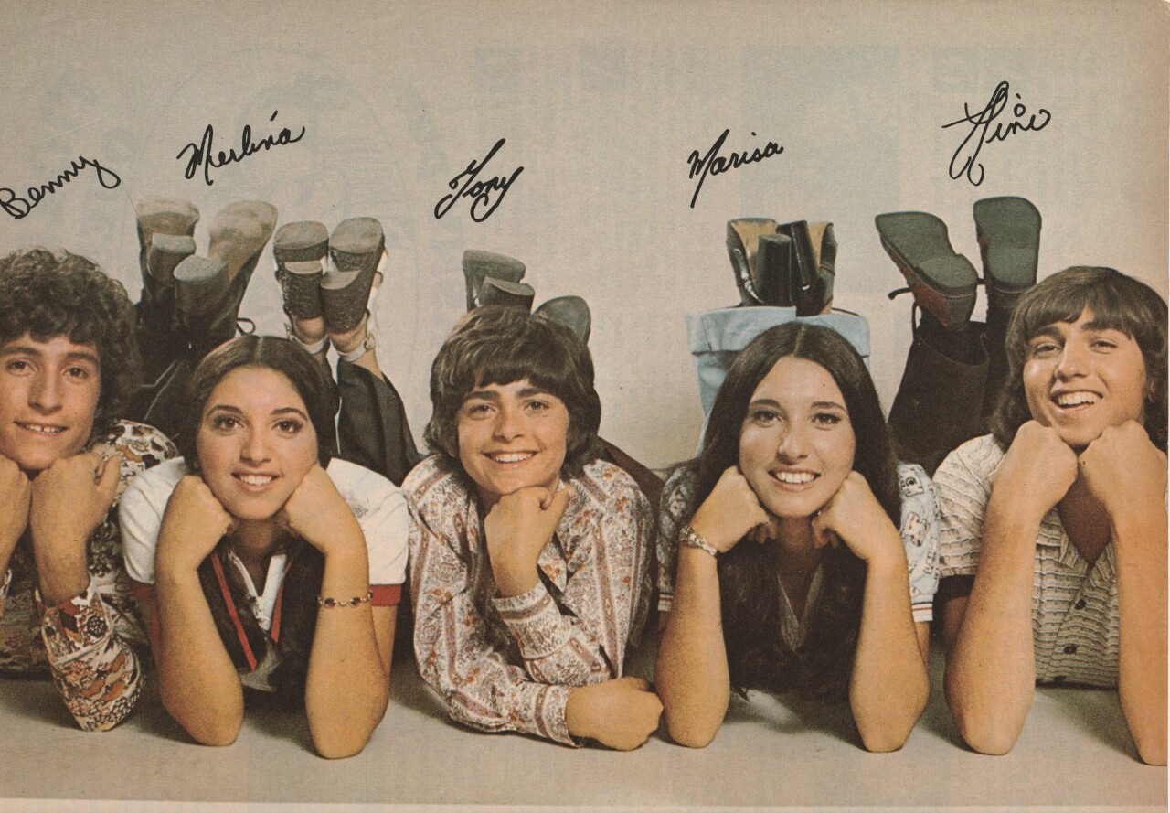 Tony Defanco teen magazine pinup clipping Defranco family Teen Beat Tiger Beat
