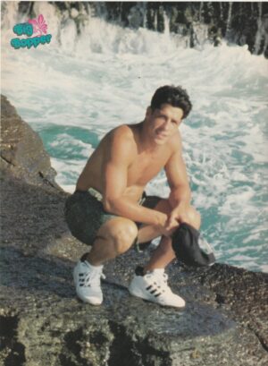Danny Wood Janet Jackson teen magazine pinup clipping shirtless waterfall Bop