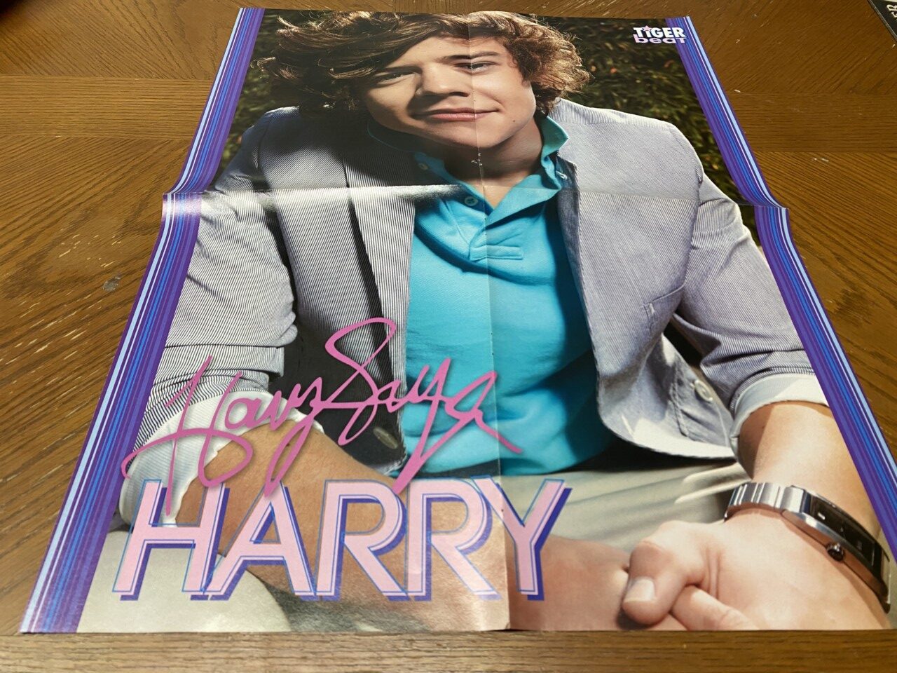 Harry Styles Taylor Lautner One Direction magazine poster clipping boy band Pix