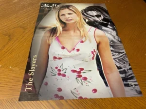 Sarah Michelle Gellar Cordelia Chase teen poster clipping Buffy Angel 90's Rare