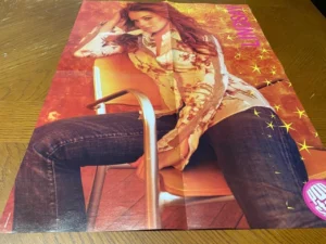 Lindsay Lohan Adam Brody teen magazine poster clipping The OC Chair Pop Star Pix