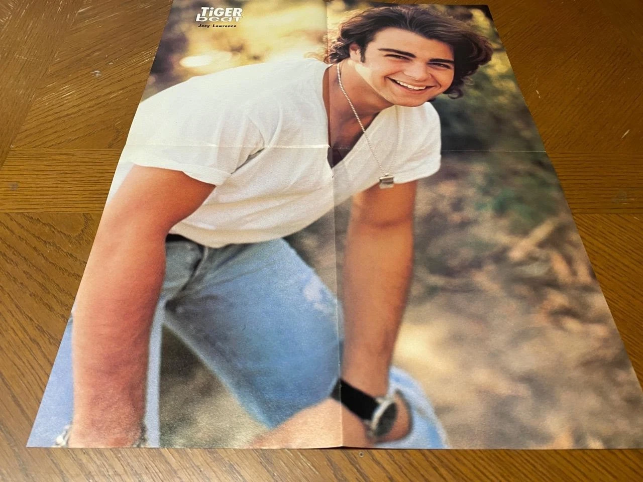 Joey Lawrence Andrew Keegan teen poster clipping jeans white shirt Tiger Beat