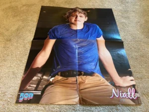 Niall Horan Selena Gomez teen magazine poster clipping One Direction wet shirt