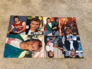 David Hallyday teen magazine pinup clipping Mini Mag Bravo teen idols Pix