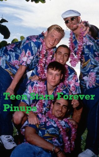 Backstreet Boys 4×6 or 8x10 vintage photo picture modeling beach 90's Bravo shoot
