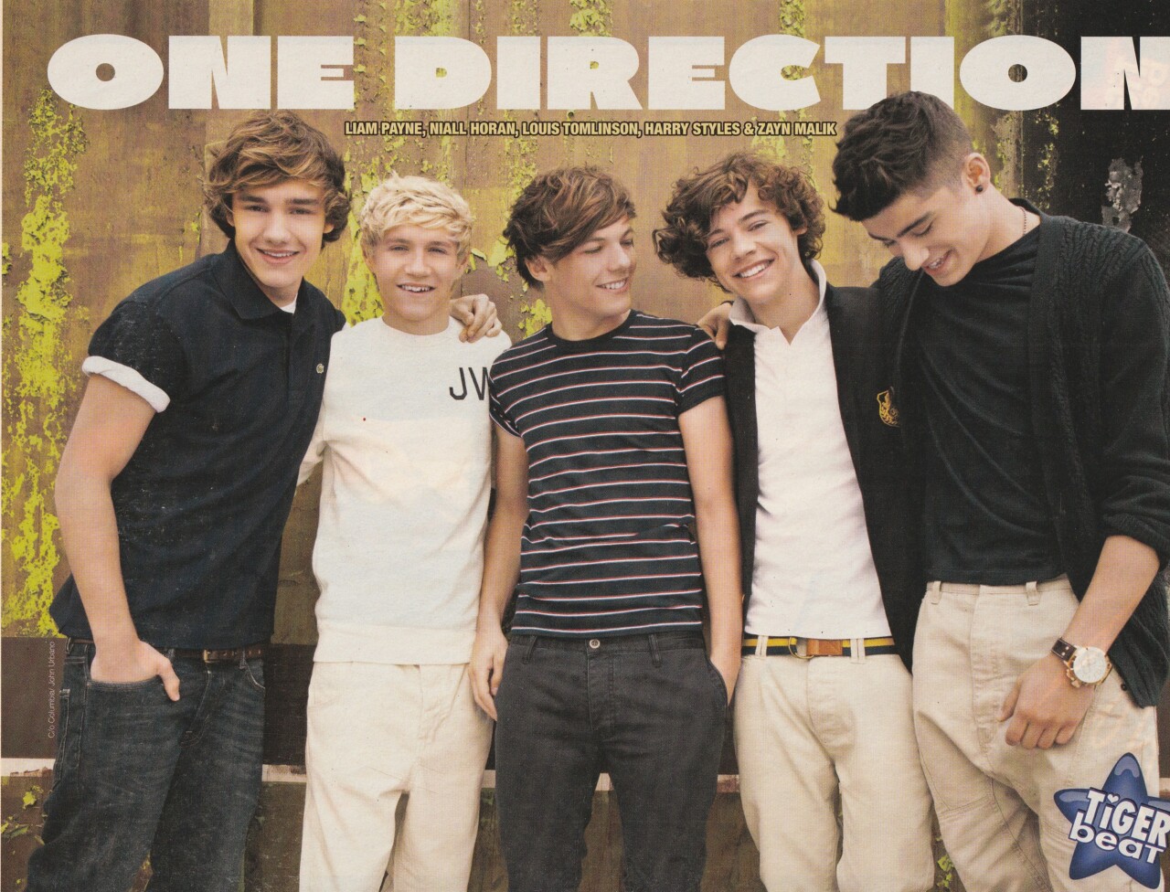 One Direction hot boyband teen idols