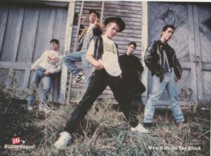 Madonna New Kids on the block teen magazine vintage pinup clipping rose boyband