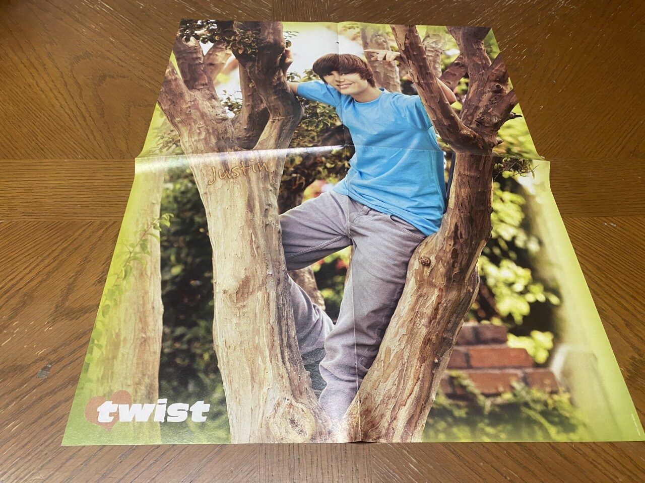 Justin Bieber Taylor Swift teen magazine poster clipping Fold Out Twist Tree Pix - Image 2