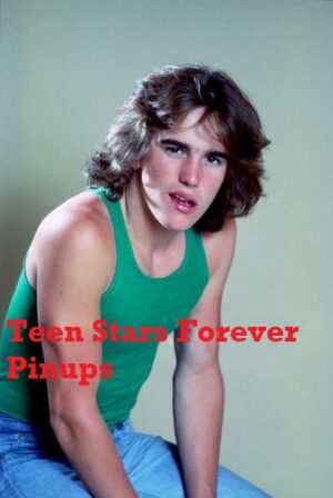 Matt Dillon 4×6 or 8x10 vintage photo picture young green shirt jeans Rumble Fish Pix modeling photo shoot